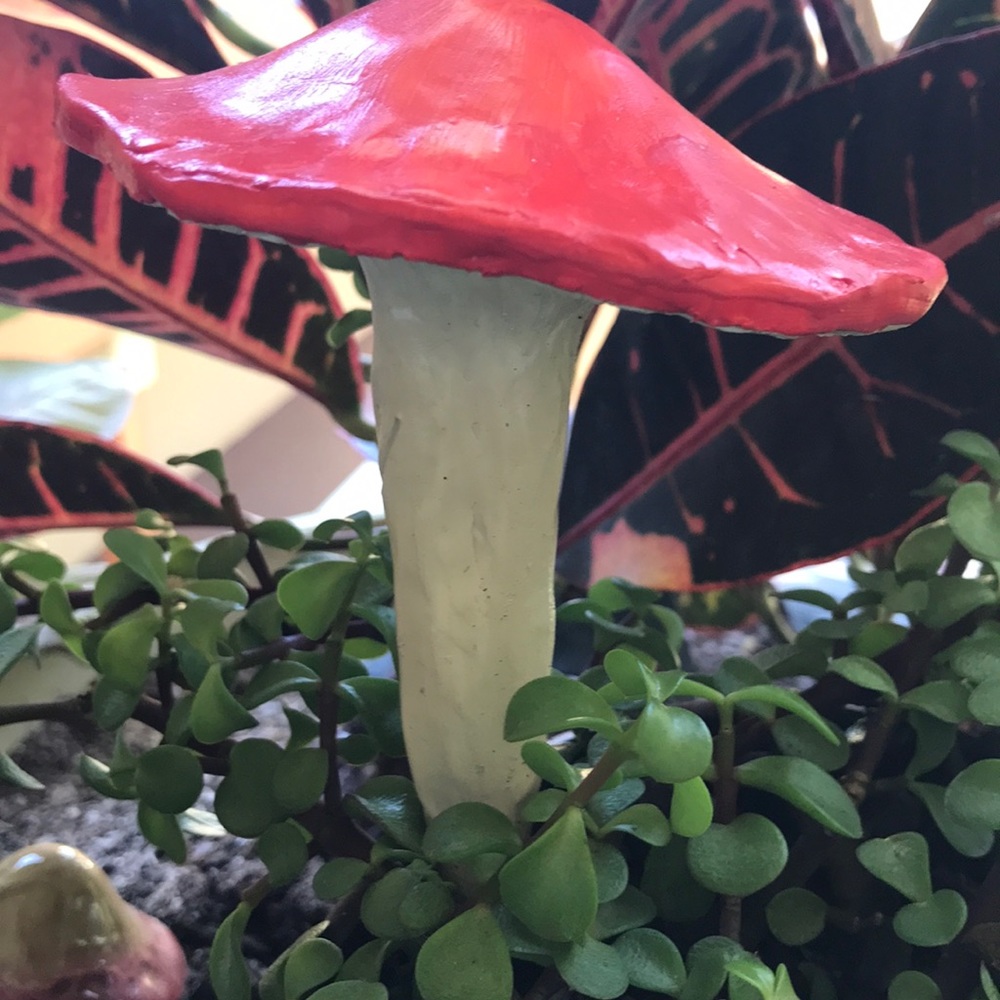 MUSHROOM 🍄 GARDEN STAKE TALISMAN ALGIZ RUNE ✨ - Picture 11 of 16